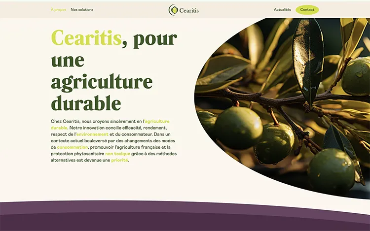 Création du site internet Wordpress de Céaritis